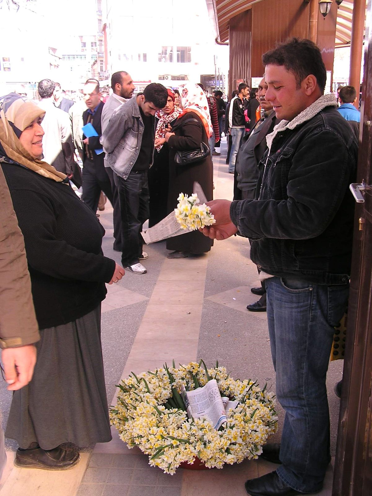 İlkbahar'ın Müjdecisi Nergis İlgi Görüyor