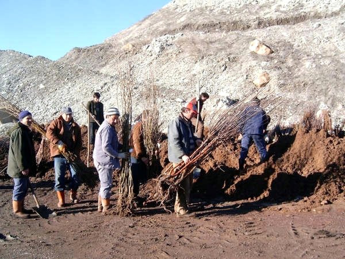 Madenci İşadamından Yeşil Seferberlik