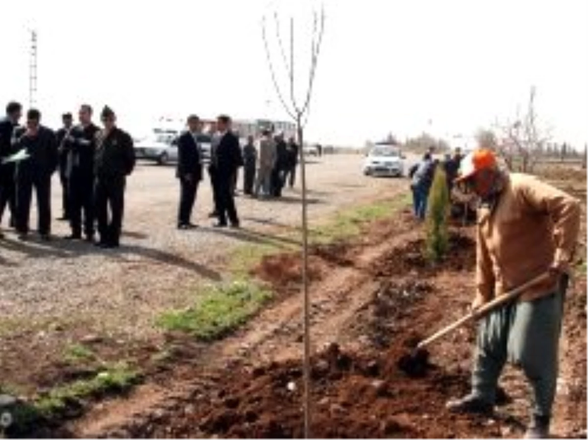 Türk ve Suriyeli Heyet Ağaç Dikti