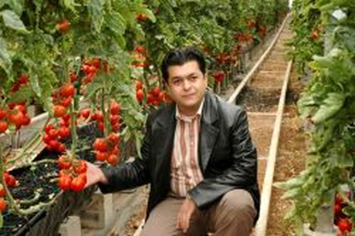 Bitki Koruma Şube Müdürleri Erdemli'de Tarım Gezisi Yaptı