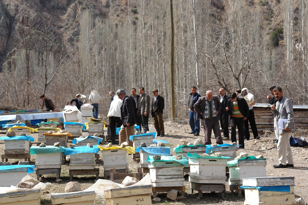 Bal Üreticileri Birliği Kursiyerlerinden Tatbikat