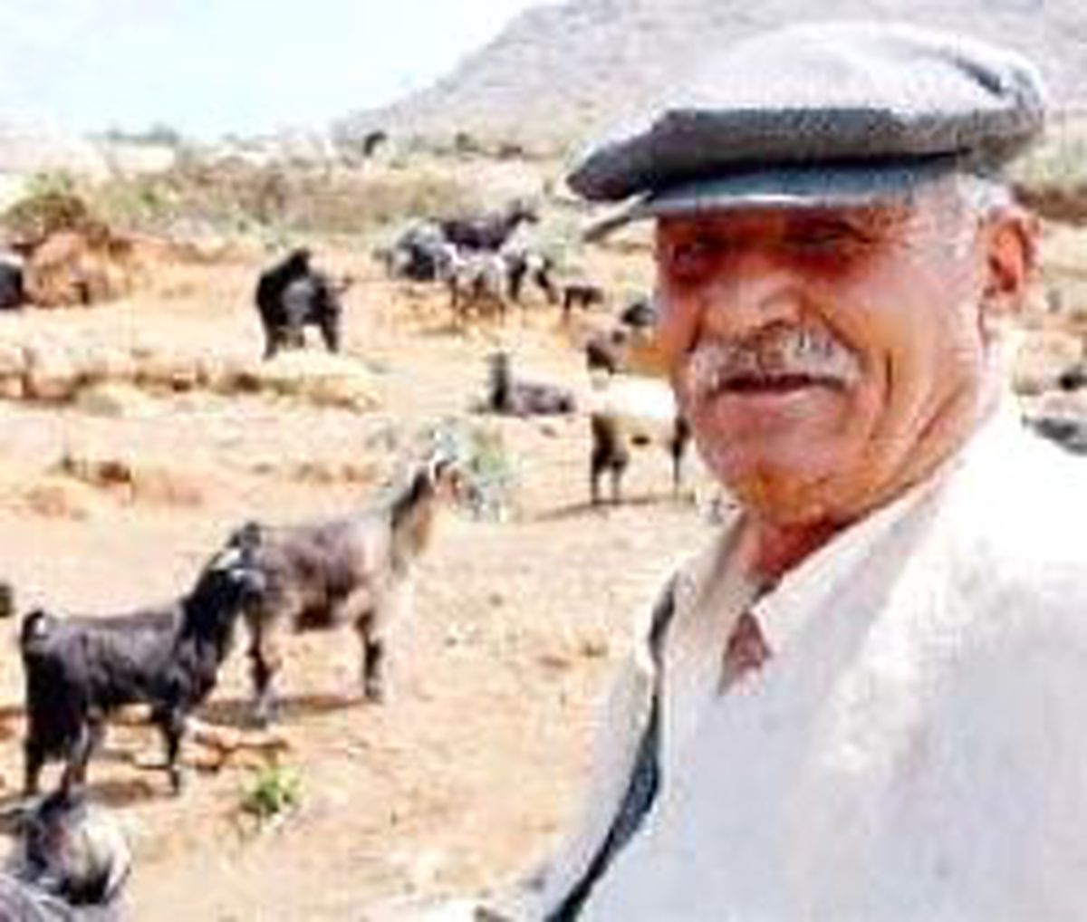 Dağdaki Çobandan Suç Duyurusu