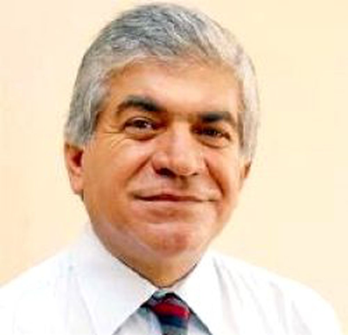 Kürtçe Çevirisi TBMM'de