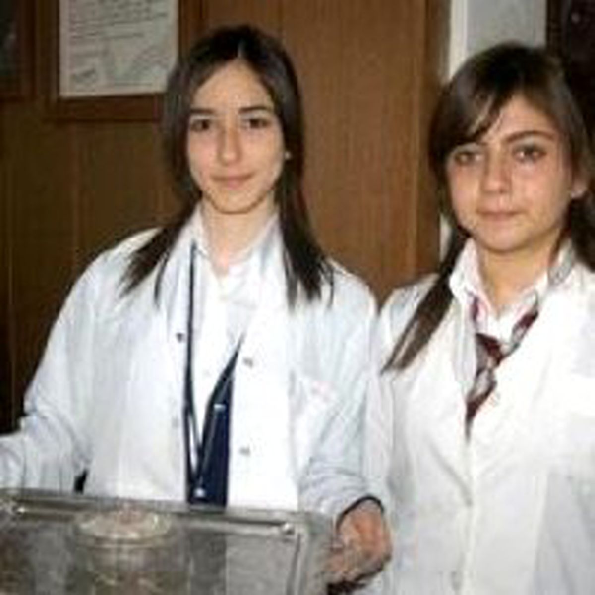 Mesirin Sakızını Yaptılar