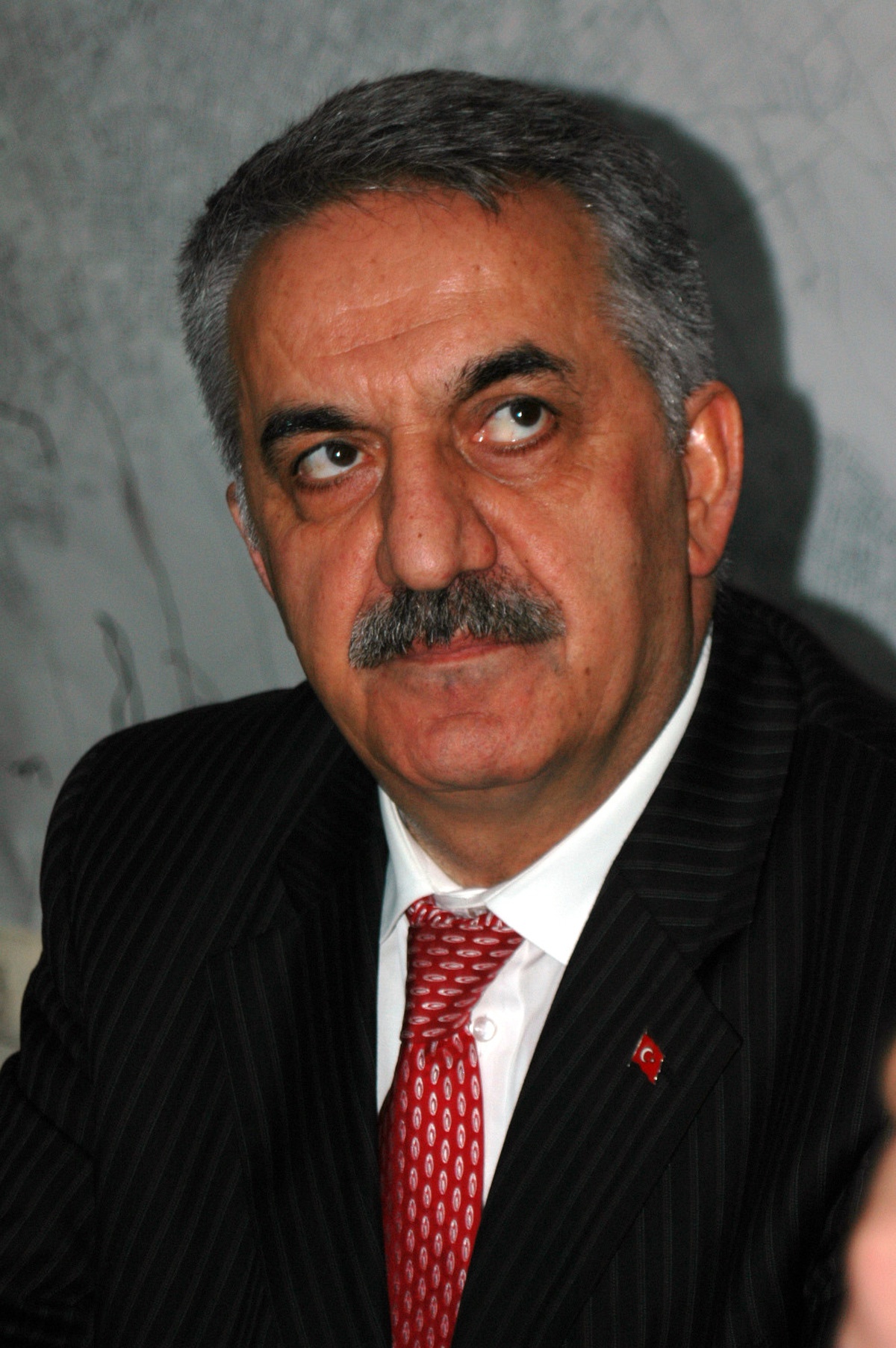 Yazıcı: 'Türkiye İnşallah 301. Maddeyi Konuşmayacak'