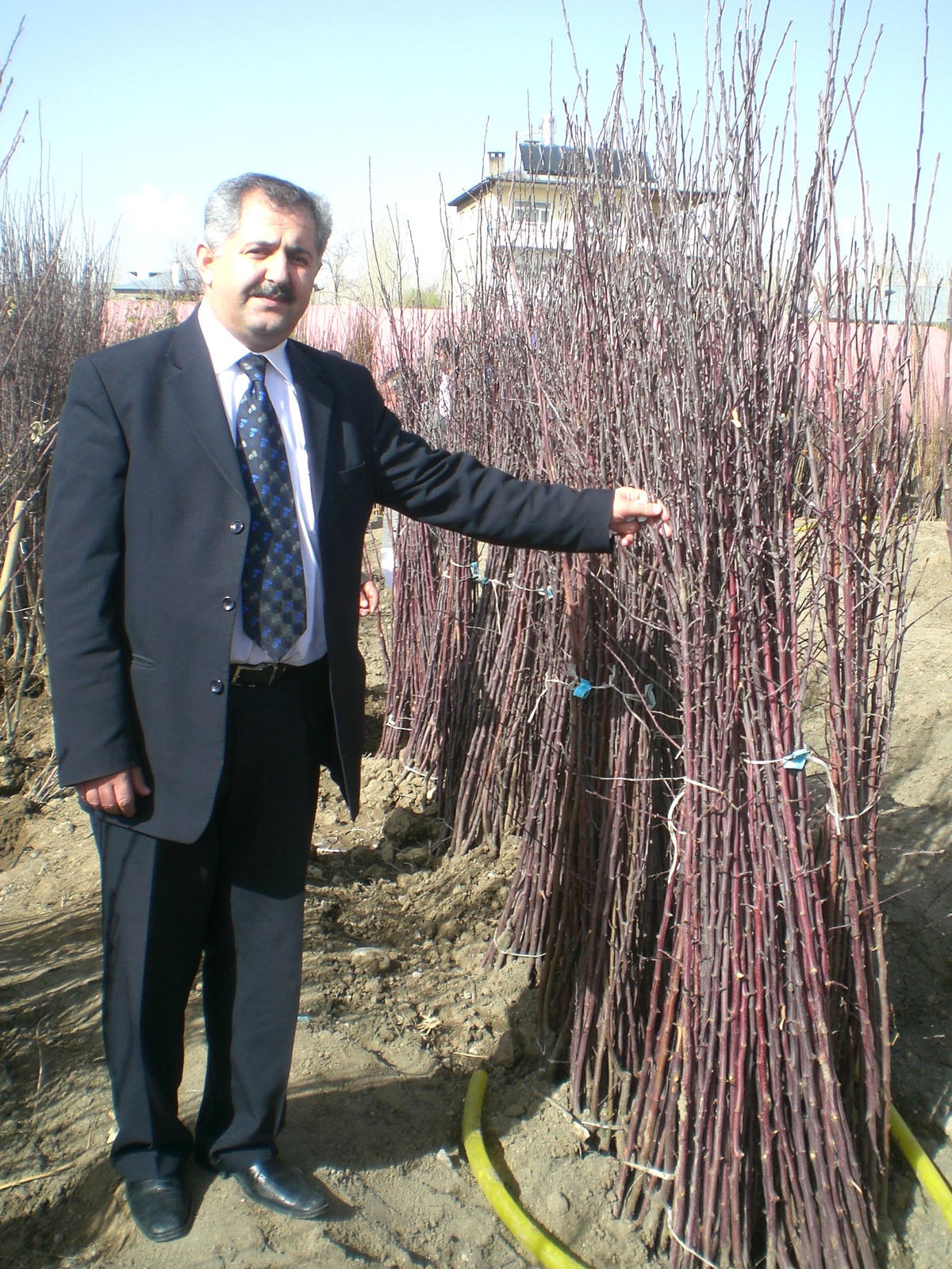 Van'da Meyvecilik Geliştirme Çalışmaları