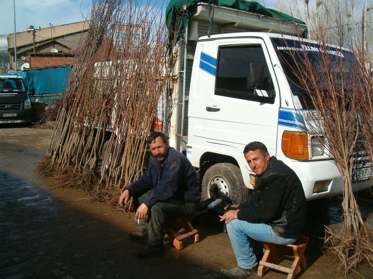 Varto'daki Fidan Satıcıları İş Yapamamaktan Yakındı