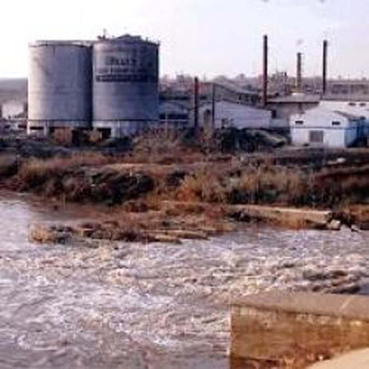 Ergene Nehri'nin Kirliliği Mahkemece Tescillendi