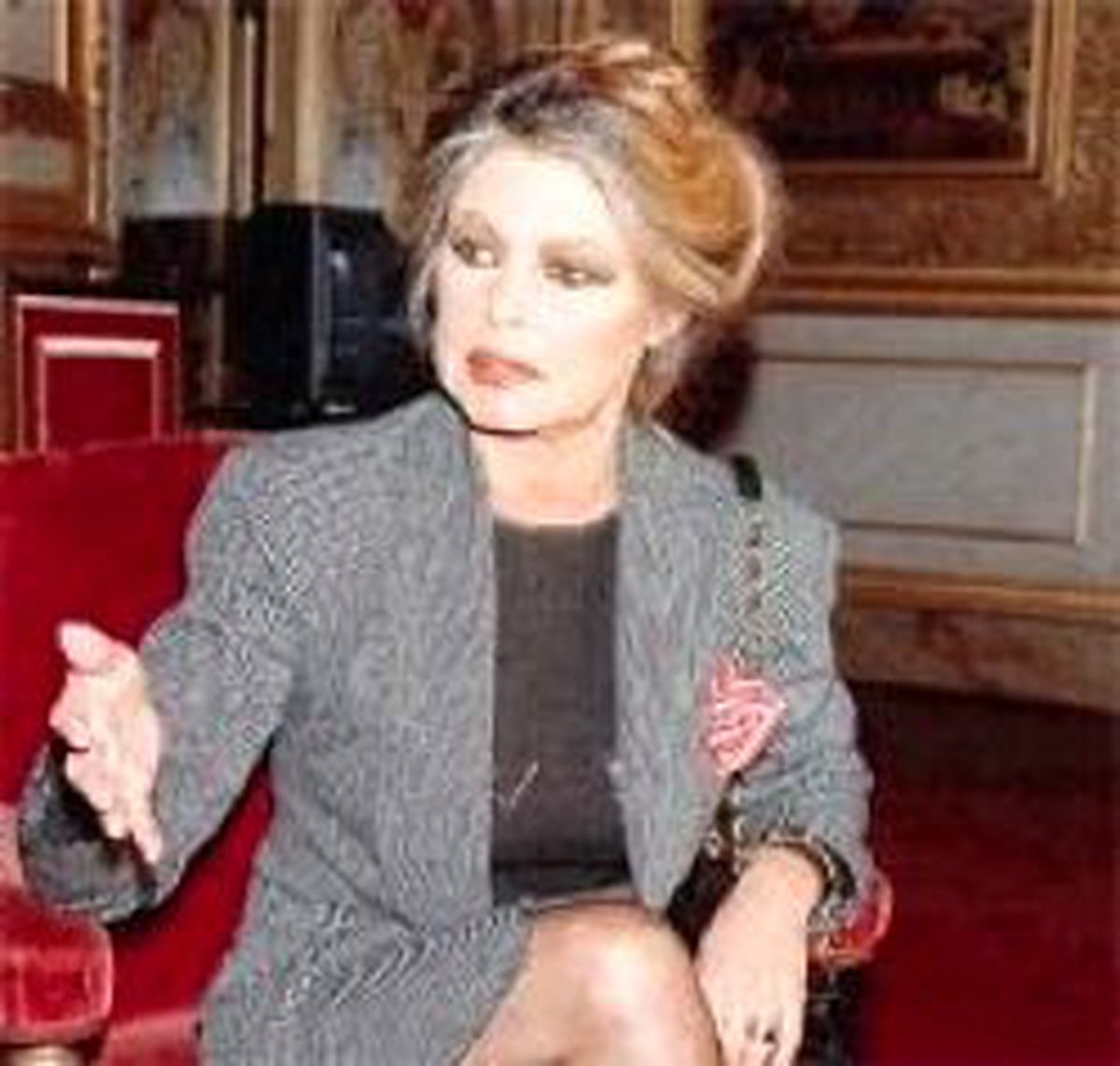 Bardot İçin Irkçılıktan 2 Ay Hapis Cezası İstendi