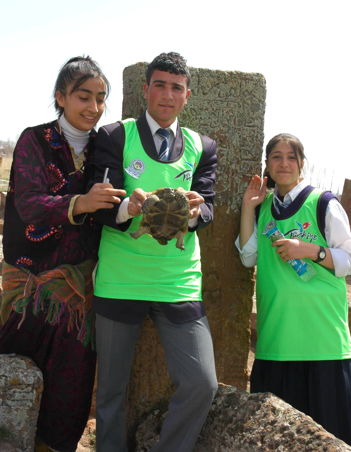 Tarihi Mezar Taşlarına Zarar Veren Kaplumbağalara Çözüm Aranıyor