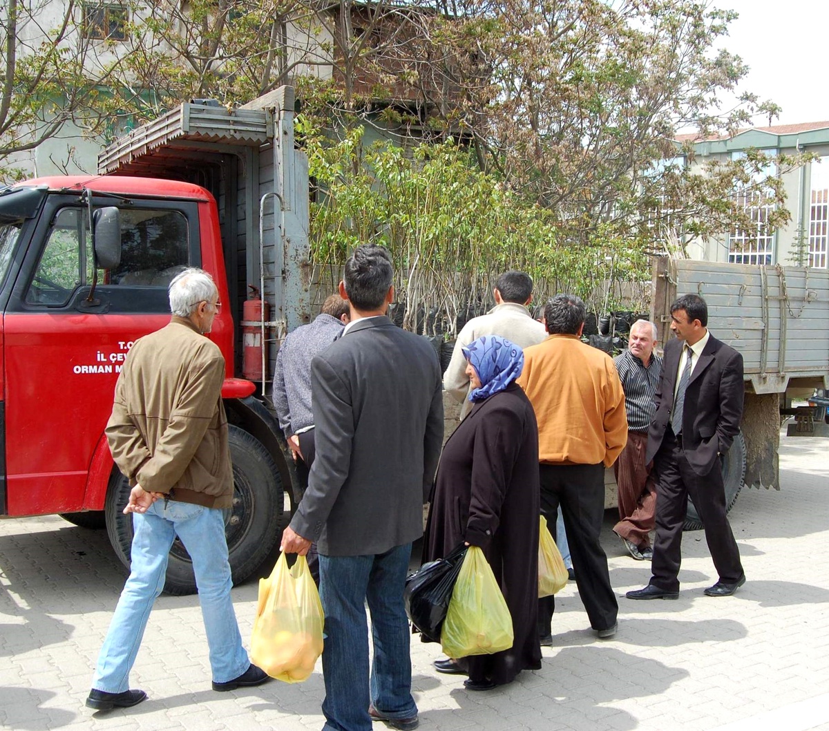Taşköprü'de Vatandaşlara 500 Ceviz Fidanı Dağıtıldı