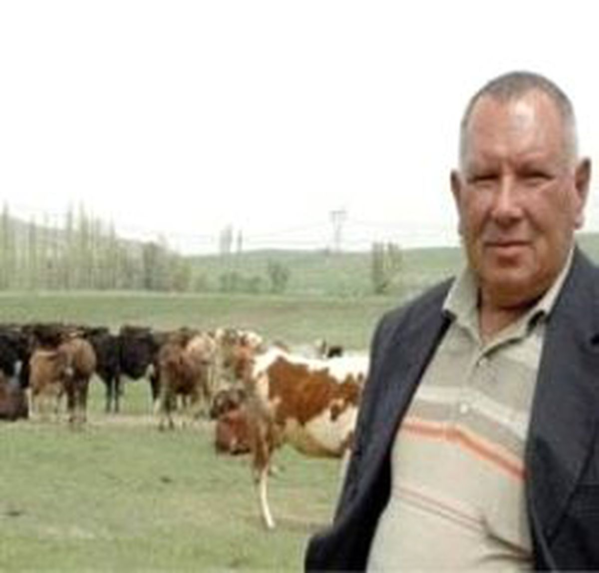 8 Bin YTL Maaşa Çoban Bulamıyorlar