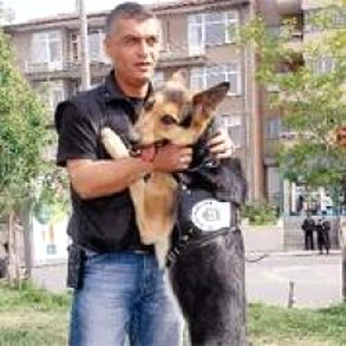 En Forslu Köpek