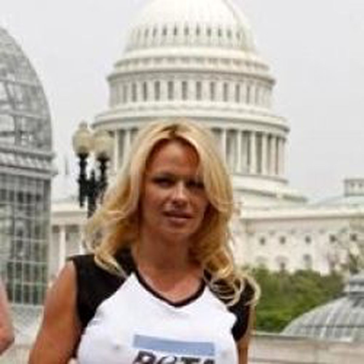 Pamela Bakanlık Bastı