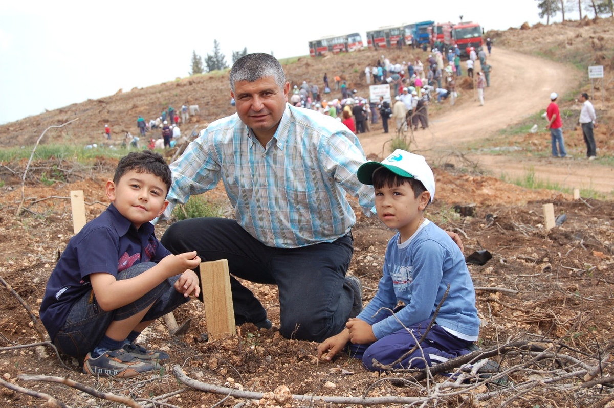 Yanan Orman Sahasına Harnup Fidanı Dikildi
