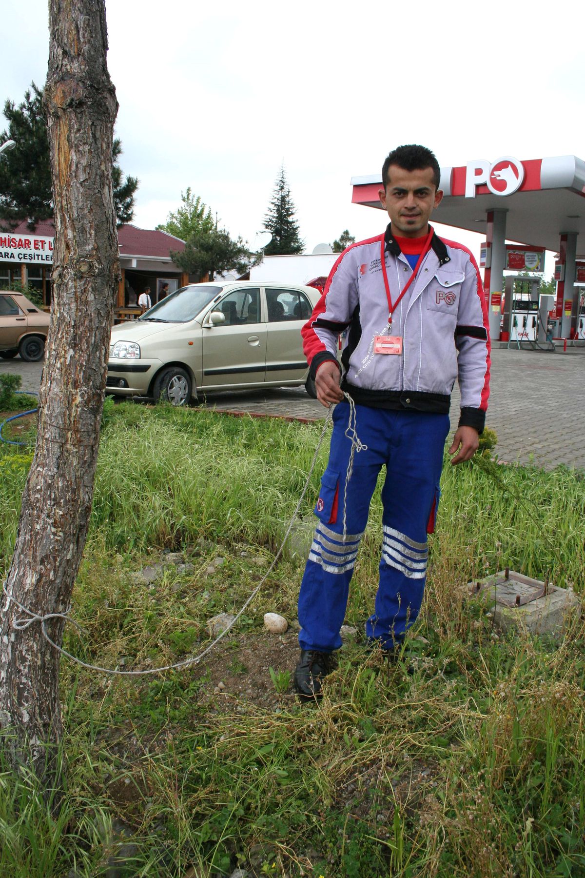 Açılış Töreninde Kesilmek İçin Alınan Koç İpini Kopararak Kaçtı