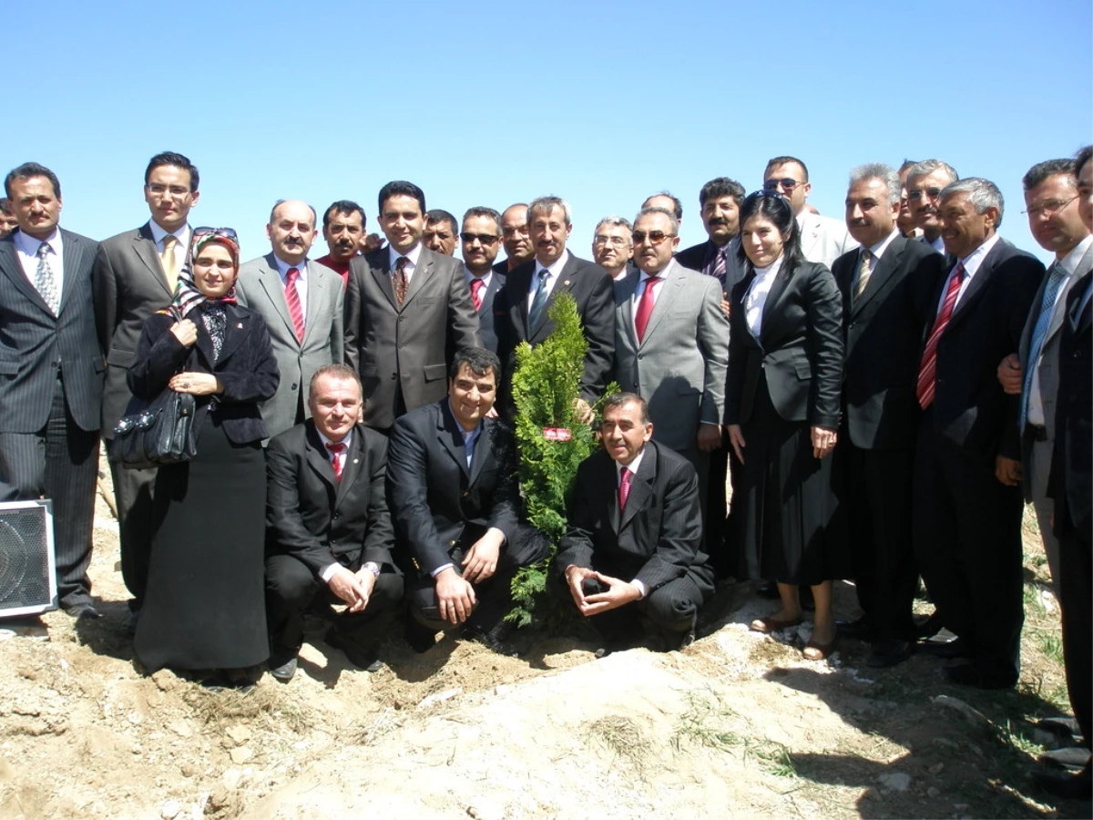AK Parti Kırşehir İl Teşkilatı, Hatıra Ormanı Oluşturdu