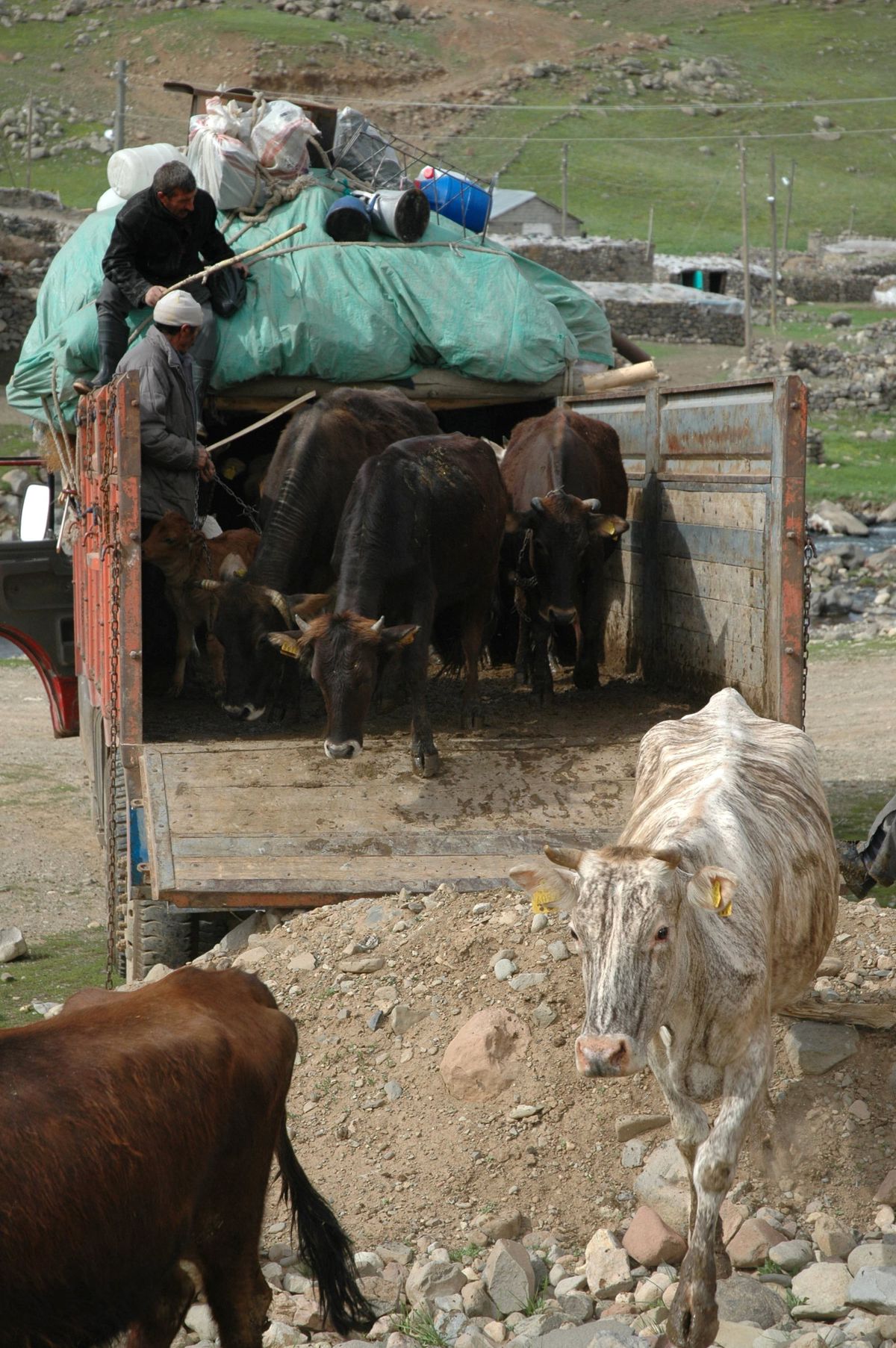 Yayla Mevsimi ile Boşalan Köyler Dolmaya Başladı