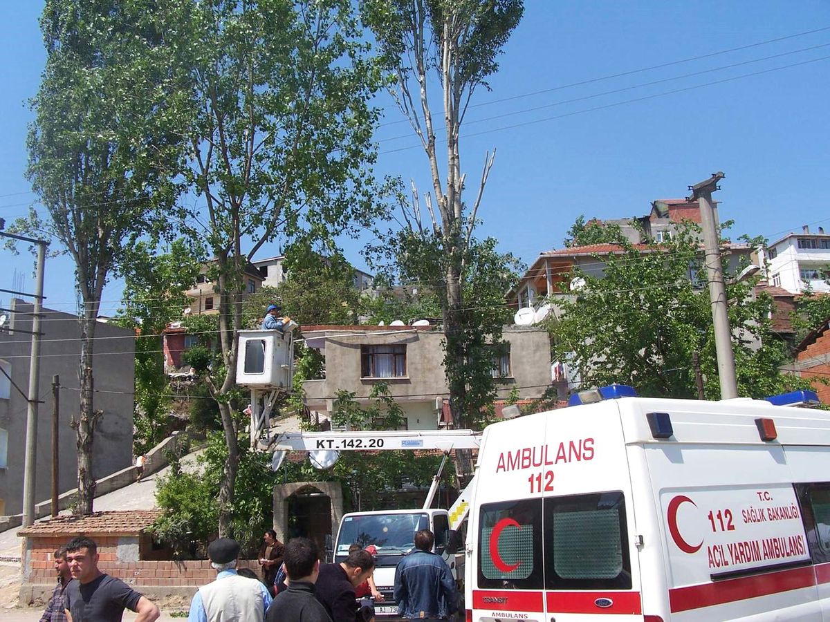 Elektrik Tellerine Dayanan Kavakları Budayan Vatandaş Fenalık Geçirdi
