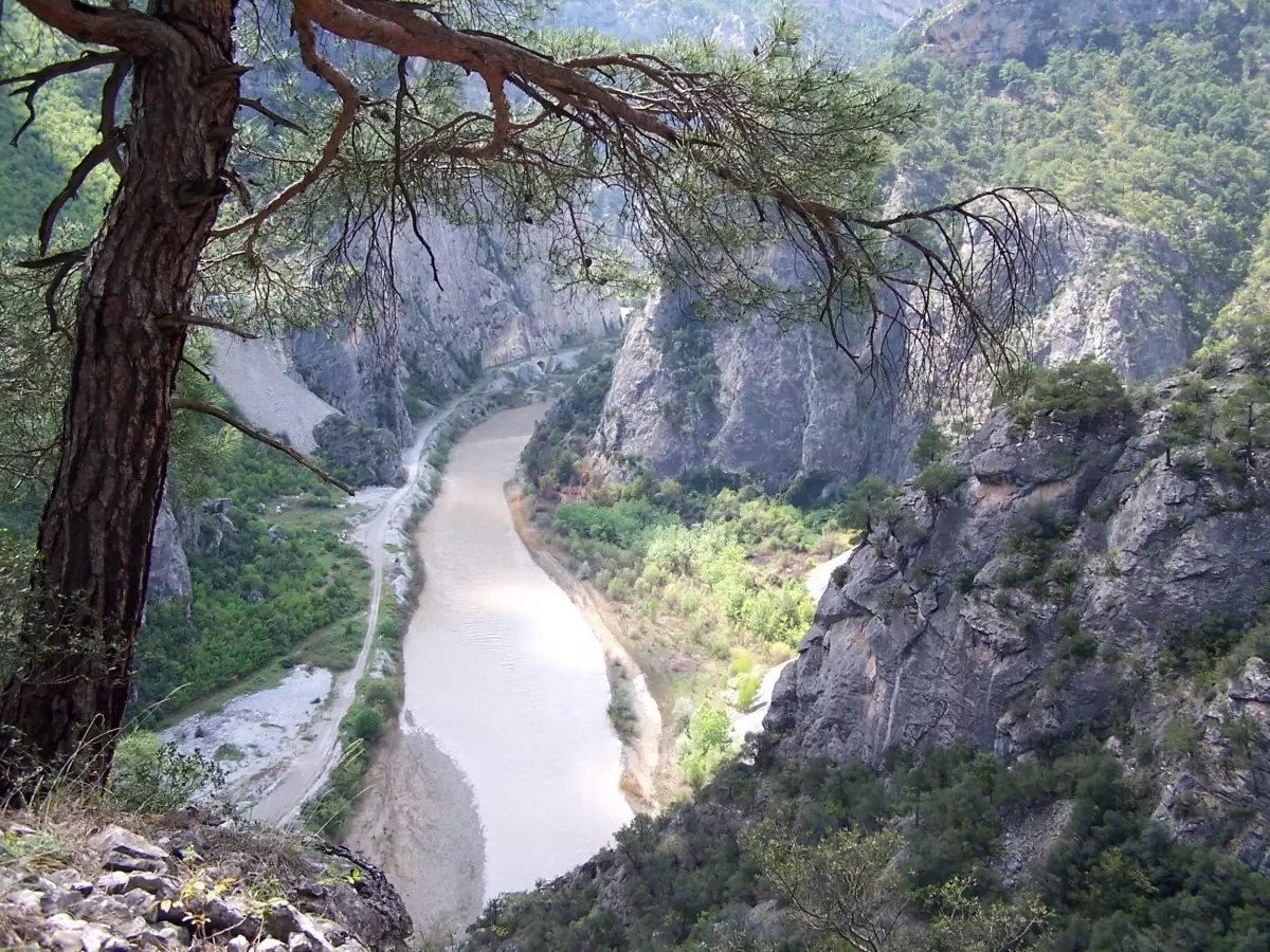 Sinop, "Enerji Merkezi" Olma Yolunda