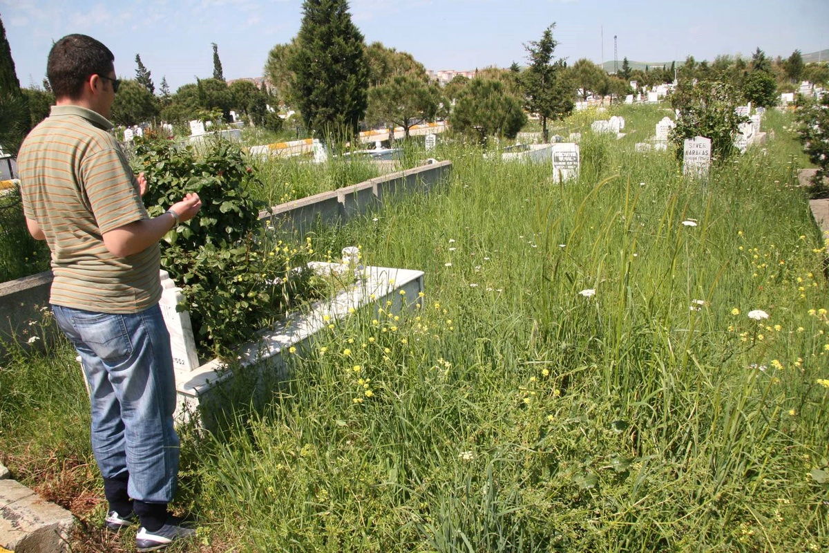 Temizlenmeyen Şehir Mezarlığı Yabani Ot ve Bitkiler İçinde Kaldı