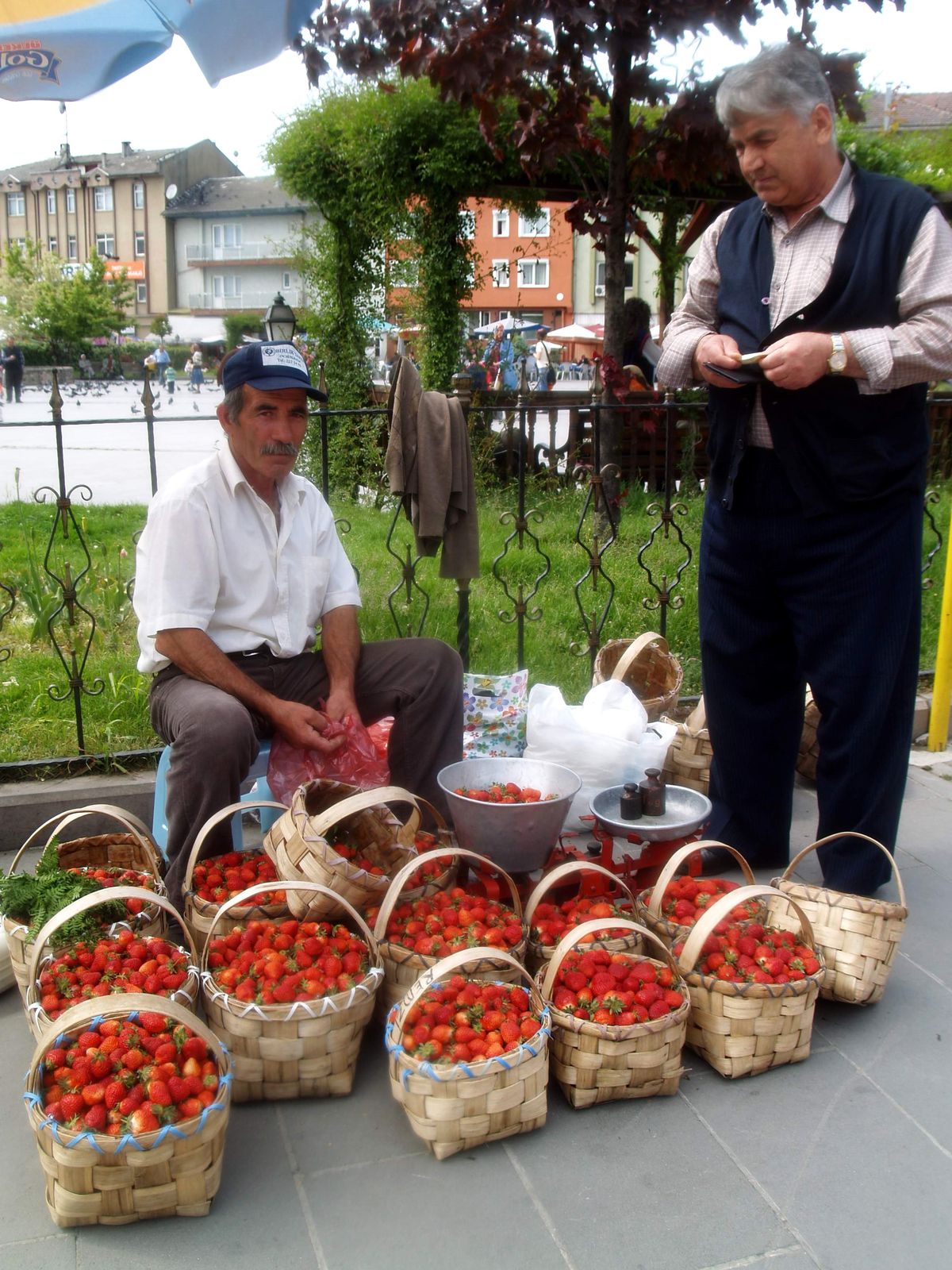 Çilek Pazara İndi