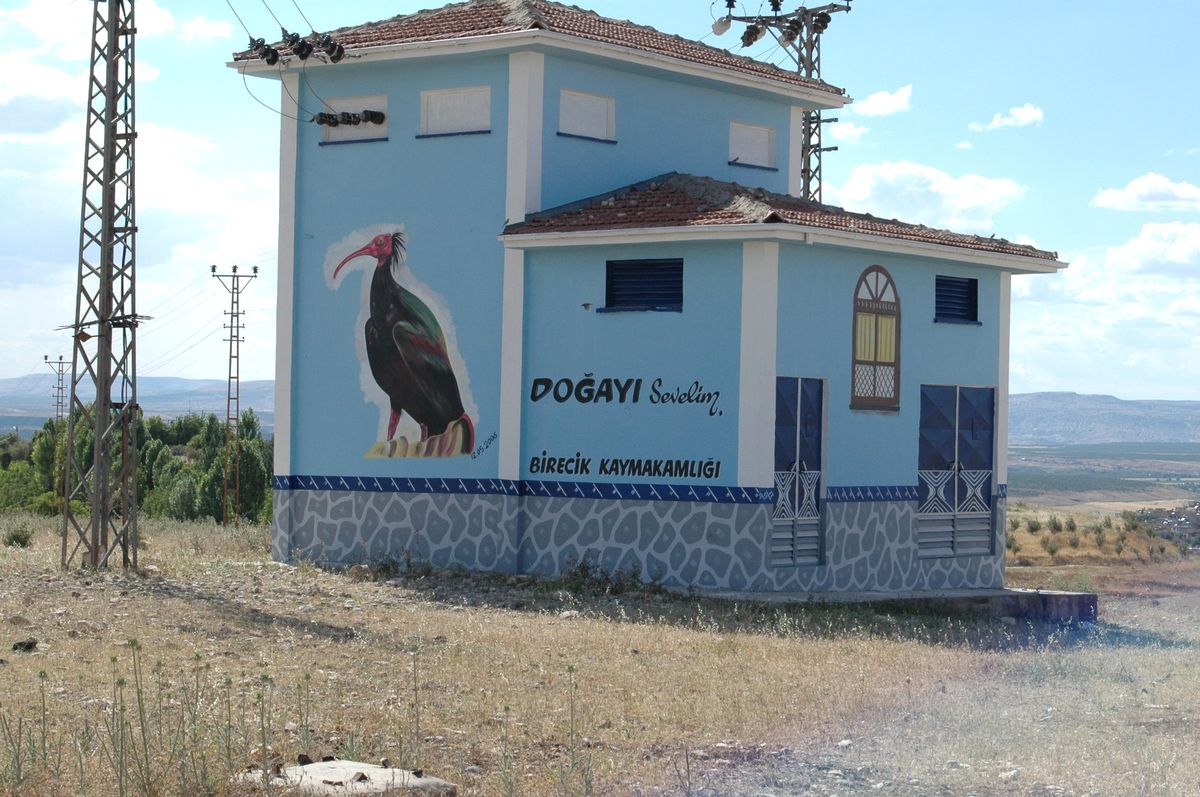 Görüntü Kirliliği Yapan Trafo Binalarında Çiçekler Açtı