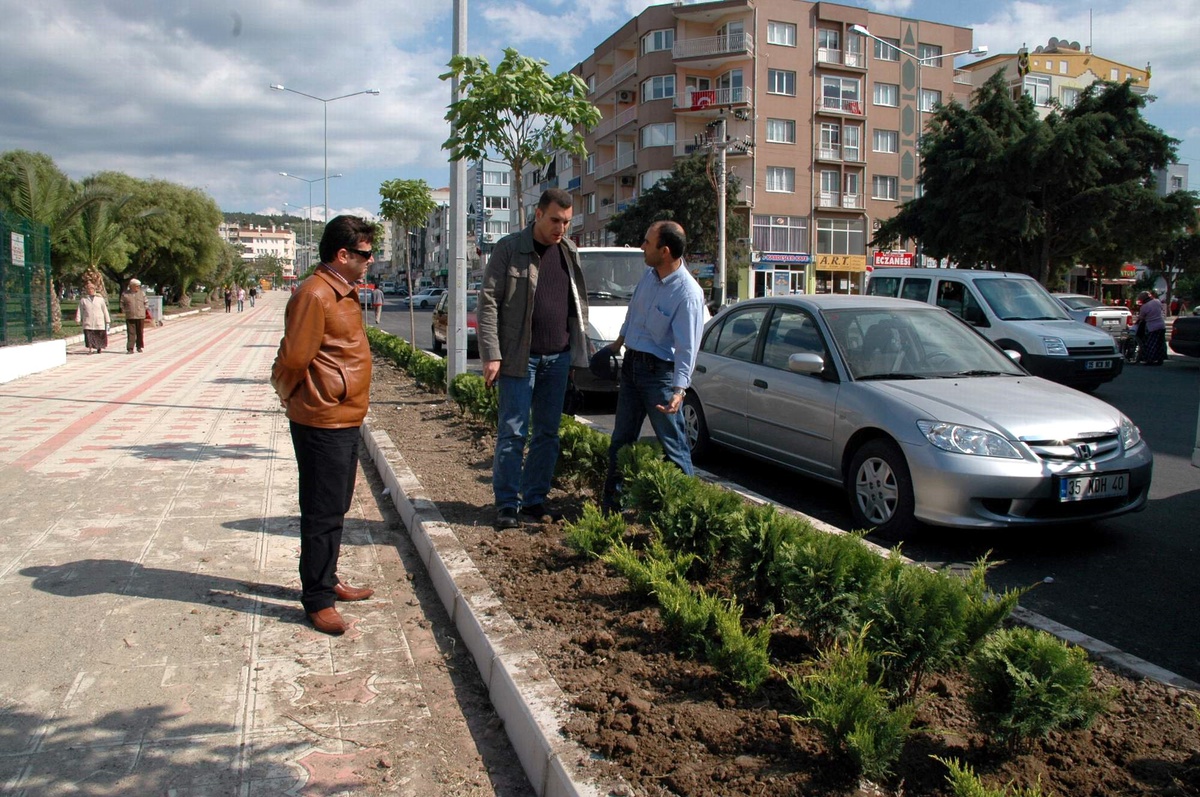 Aliağa Yucca Ağacıyla Güzelleşiyor