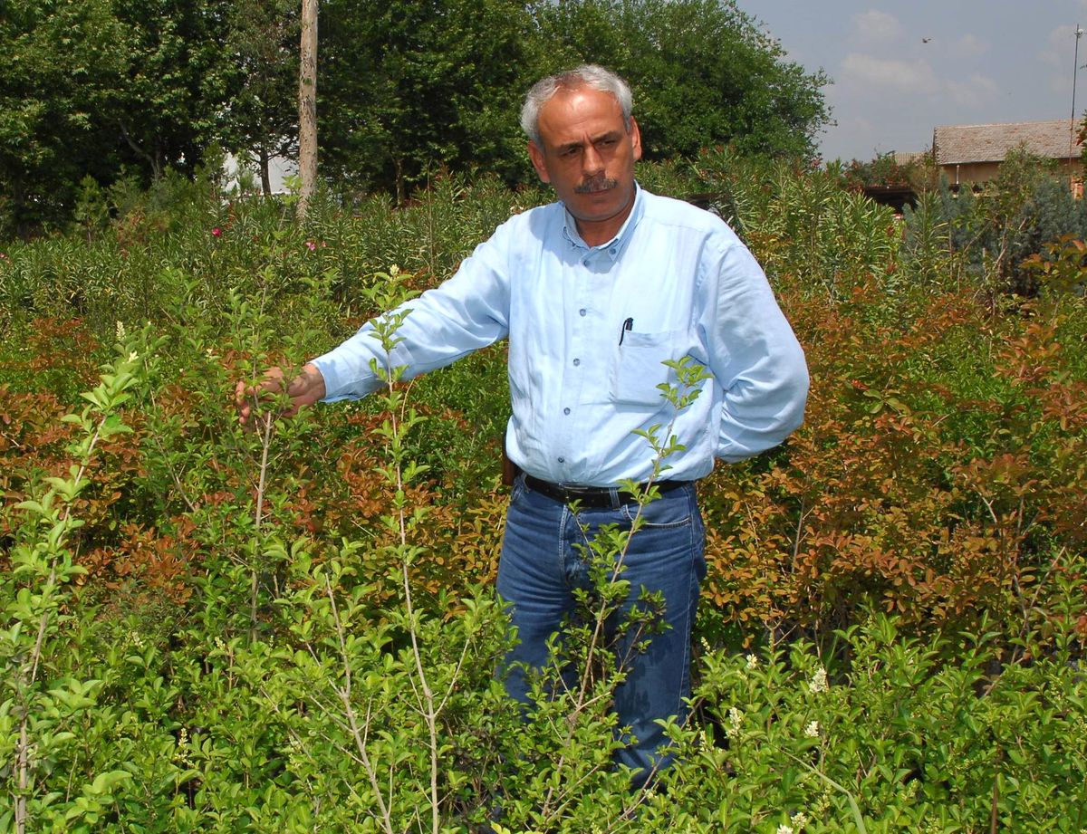 Ceyhan'a 100 Bin Fidan Dikilecek