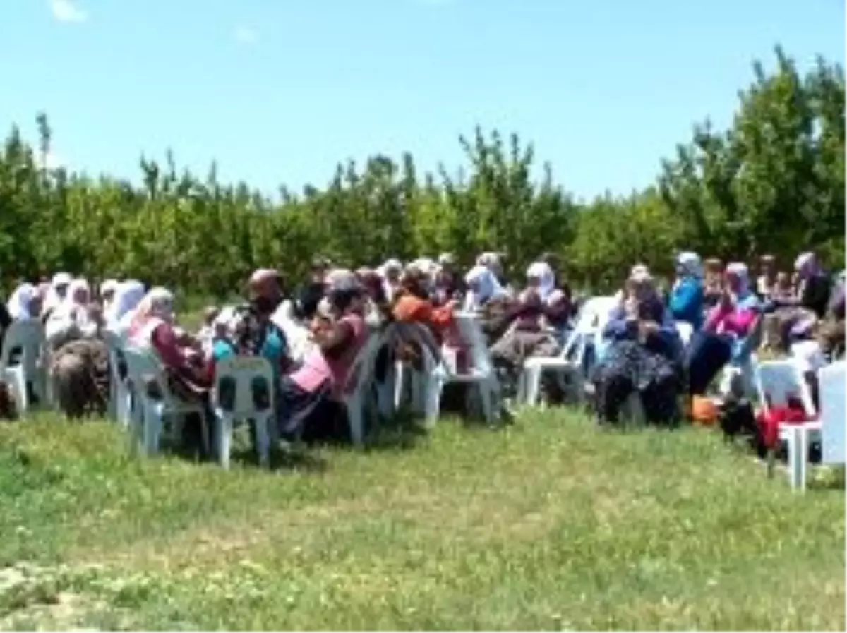 Korkuteli İlçesinde Hıdrellez Bayramı