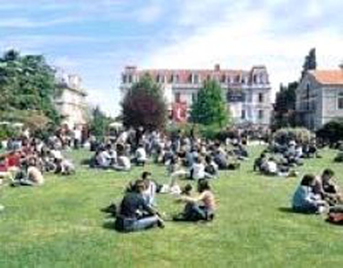 Gençliğin Durumu Vahim