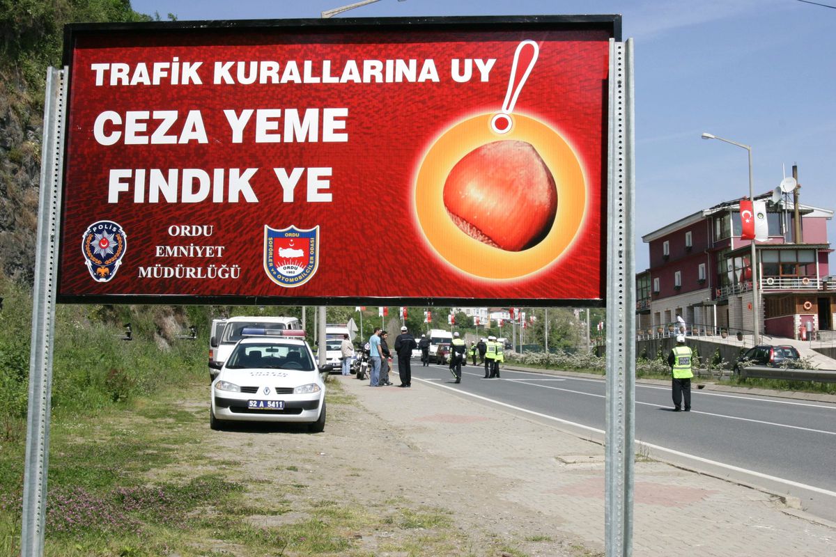 Ordu'da Ceza Yerine Fındık
