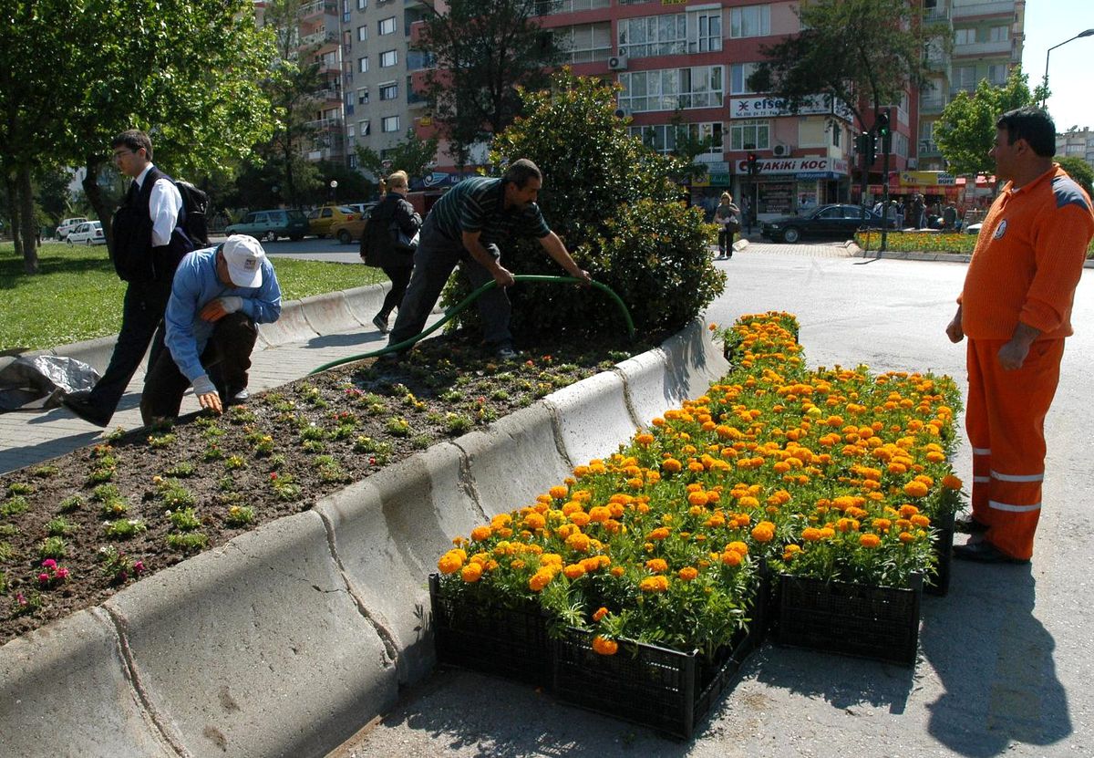 İzmir'de 1 Milyon 250 Bin Adet Yazlık Çiçeğin Dikimine Başlandı