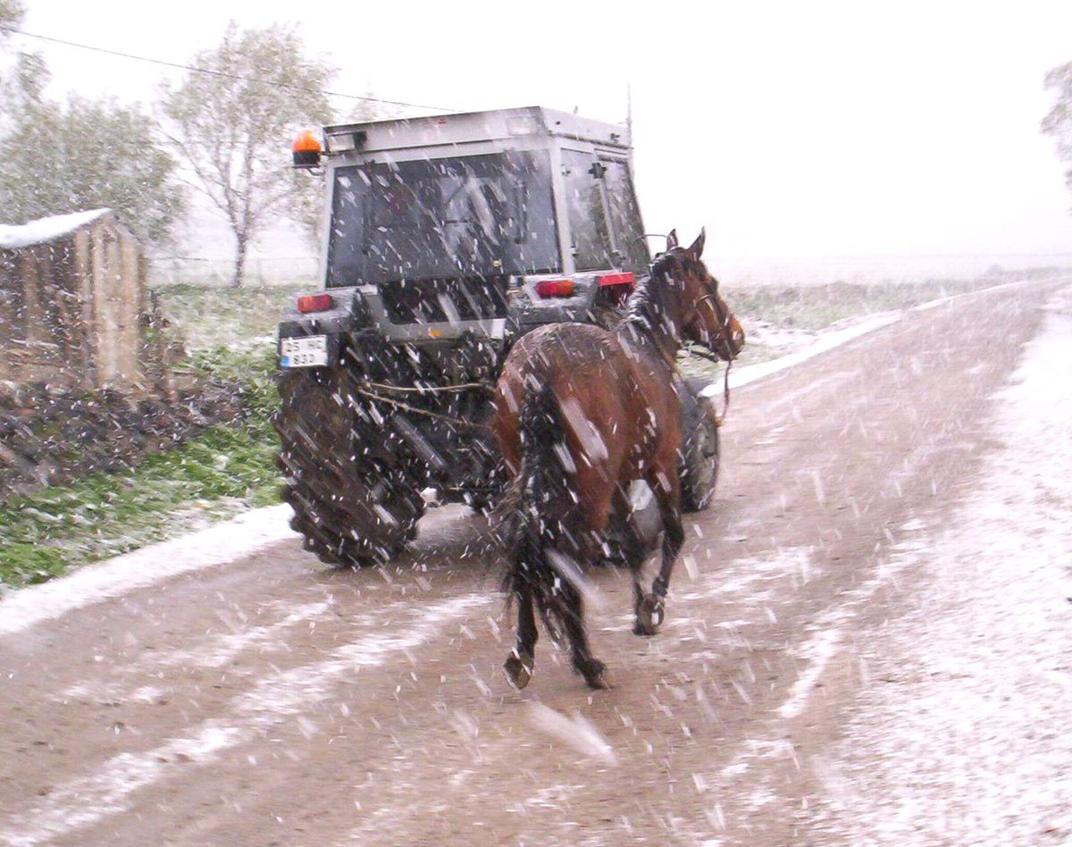 Kars'ta Kar Şaşkınlığı