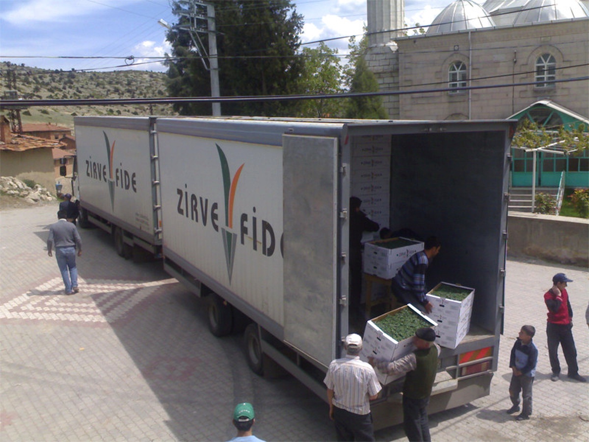 Tavşanlı'da Çiftçilere 121 Bin Domates Fidesi Dağıtıldı