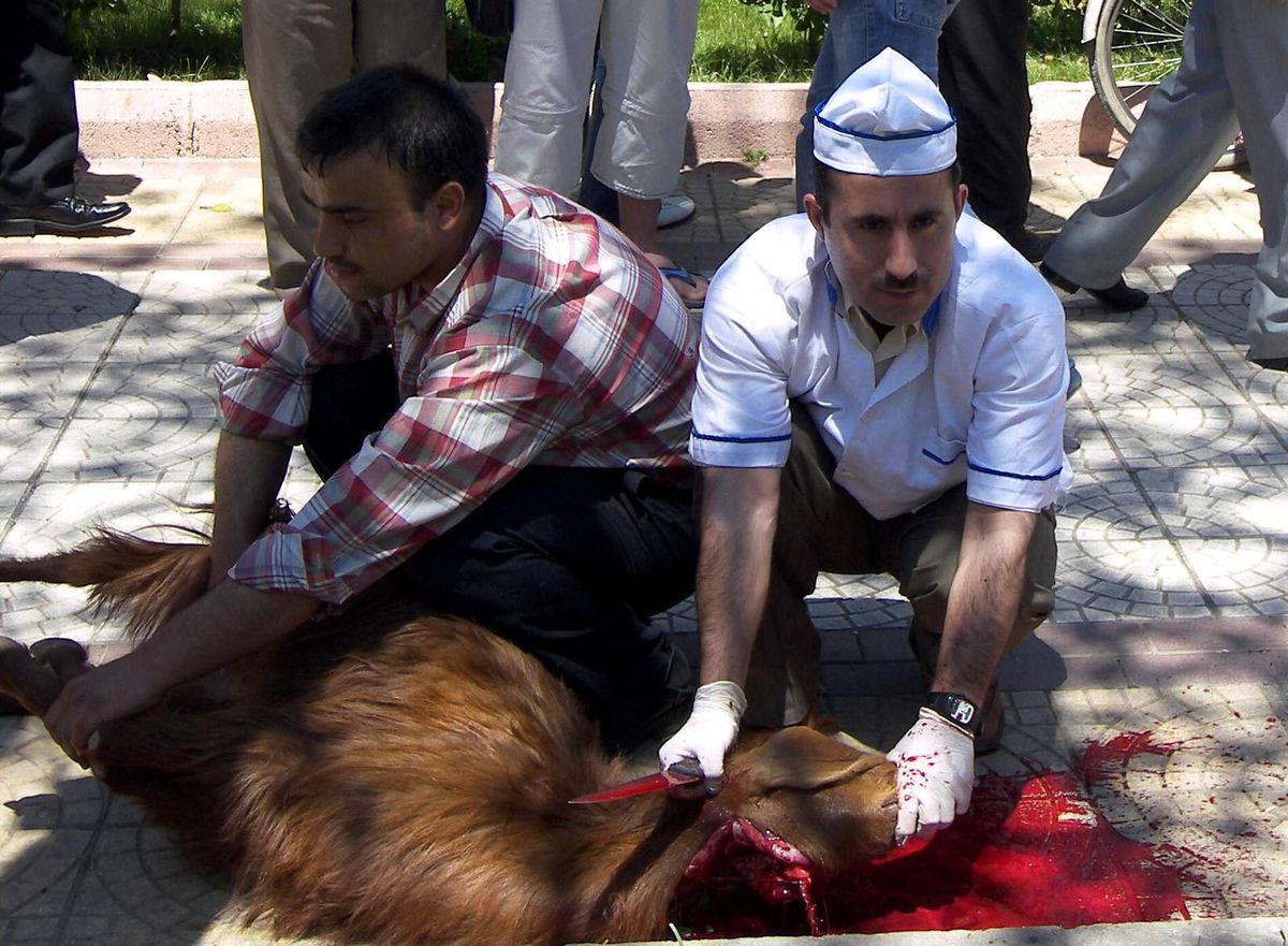 Talebe Yurdundan Öğrenciler Yararına Kermes