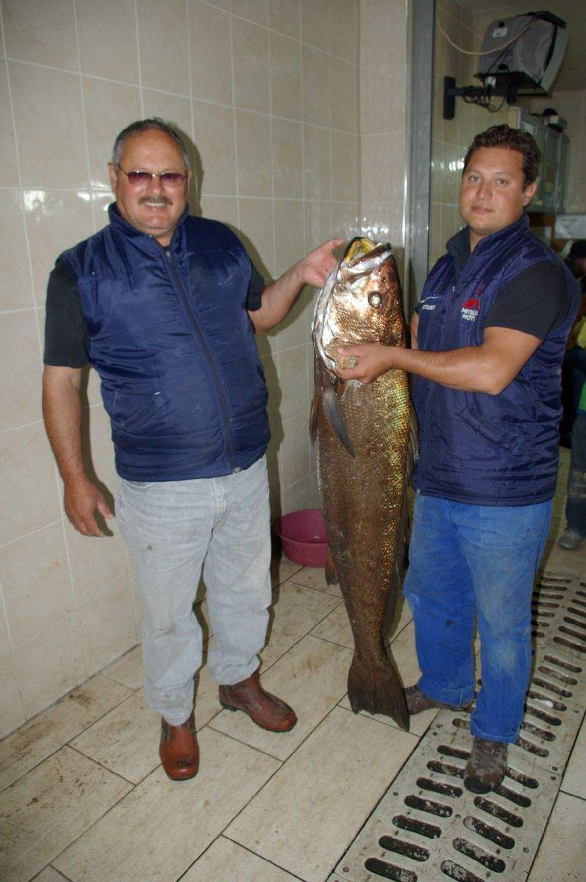 Foçalı Balıkçı Oltayla 30 Kiloluk Balık Yakaladı