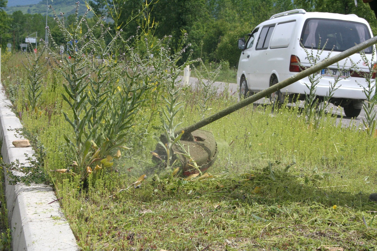 Karoyolunda Tehlike Saçan Yabani Otlar Temizleniyor