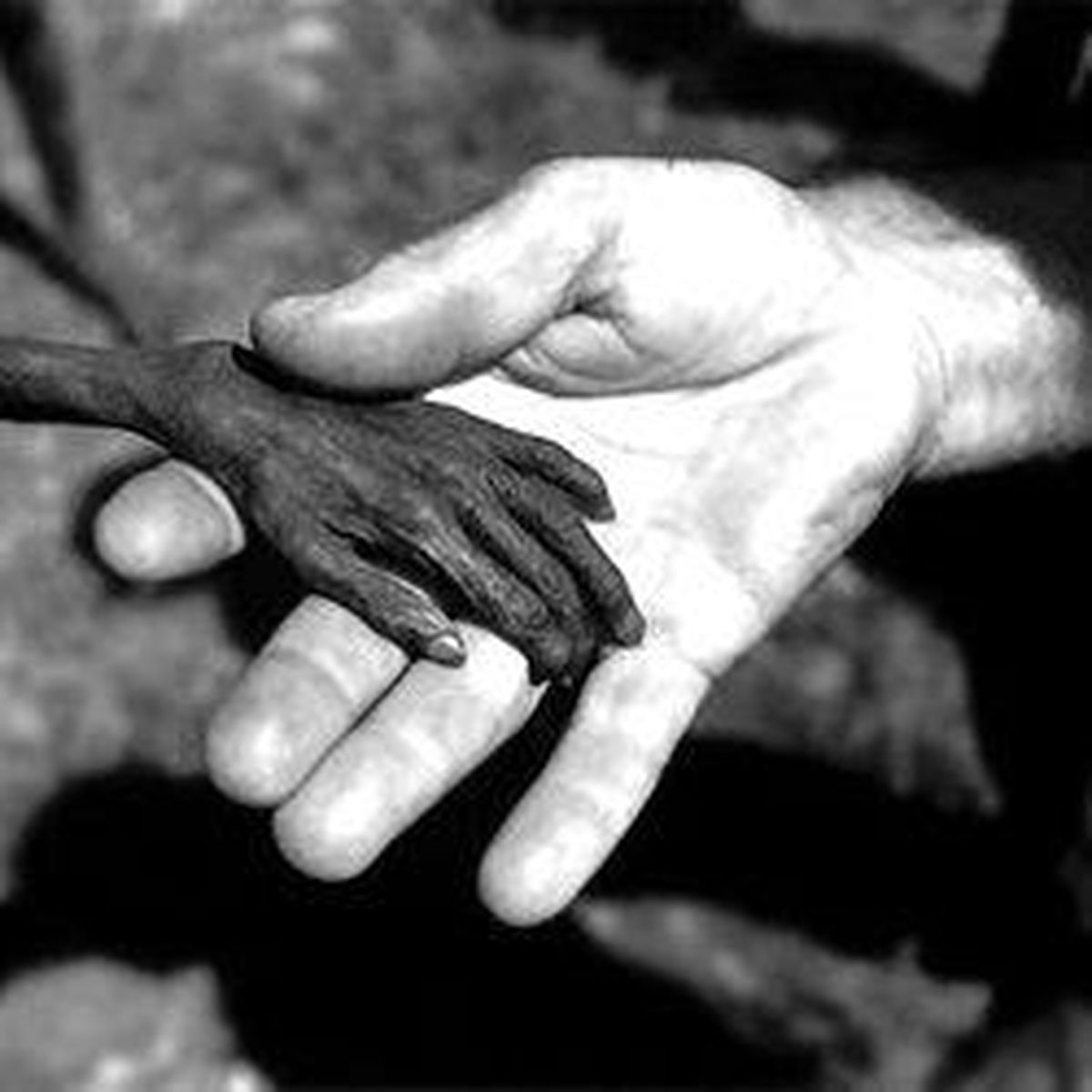 Türkiye Artık Afrikalı!