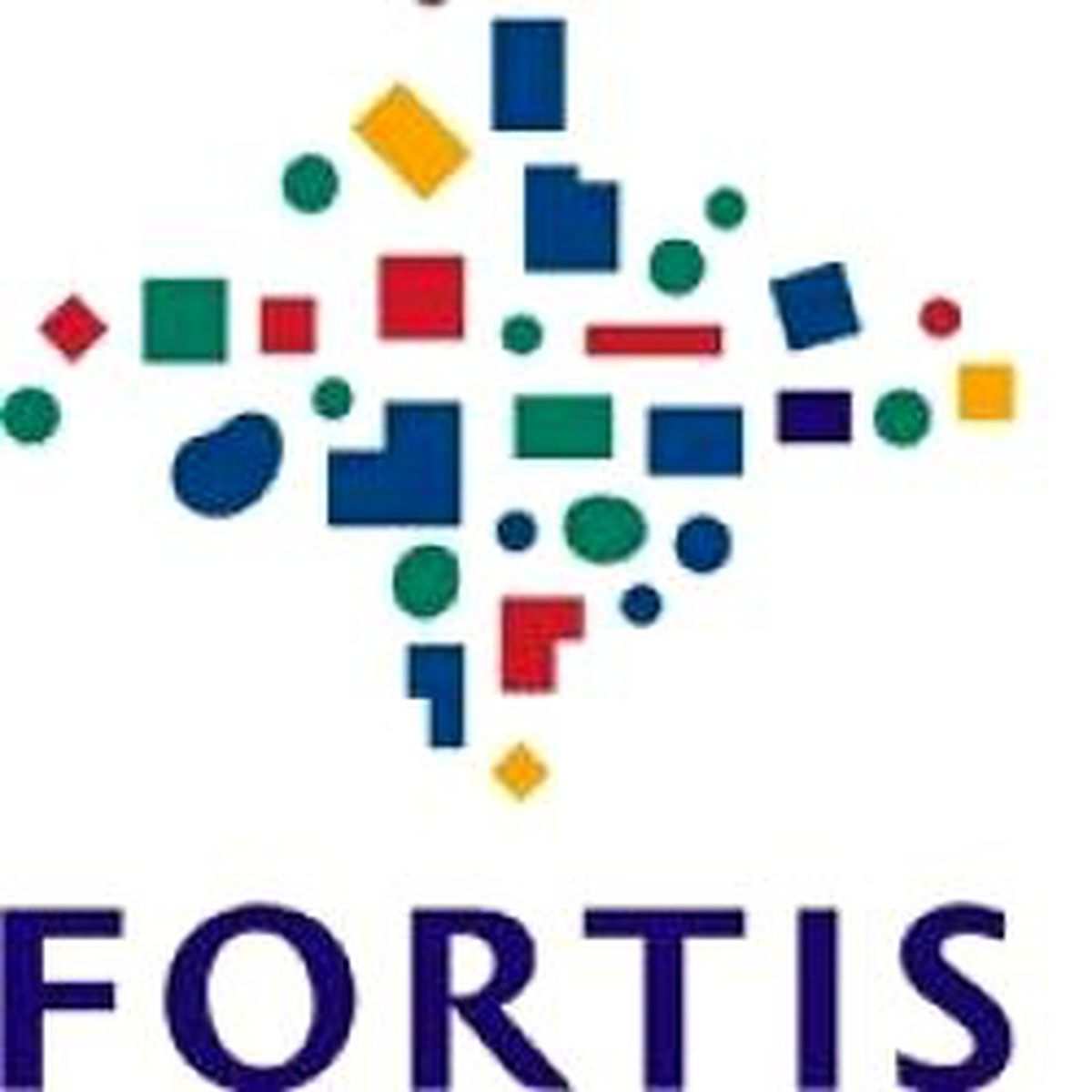 Fortis Kârını Açıkladı