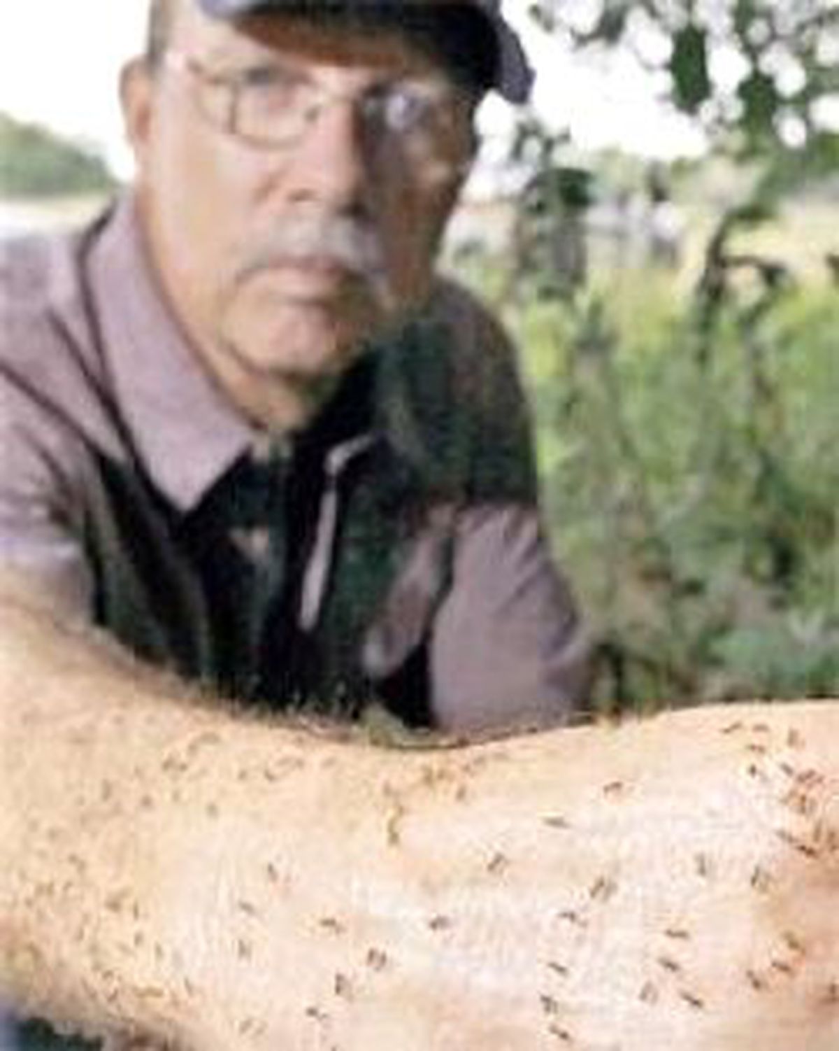 Kızıl Tehlike
