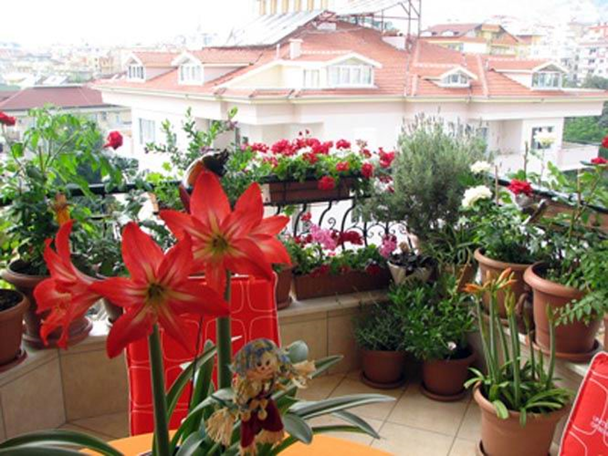 Alanya'nın En Güzel Balkon ve Bahçeleri Seçildi