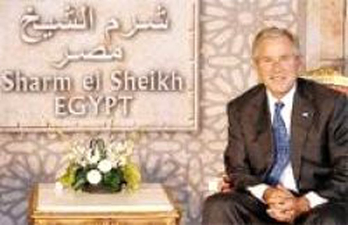 Bush'un Ligine Bak