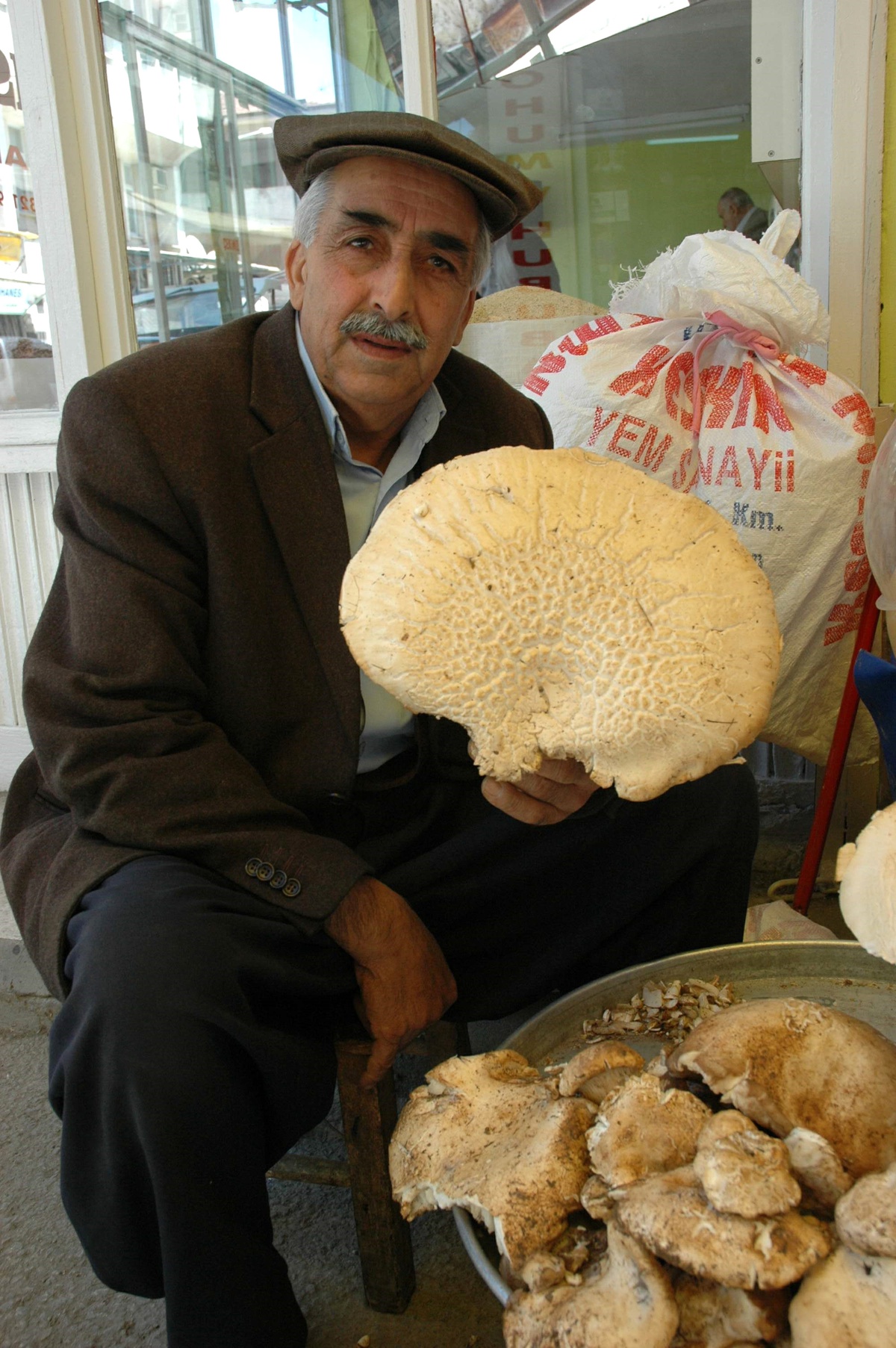 Mantarın Kilosu 25 YTL'den Satılıyor