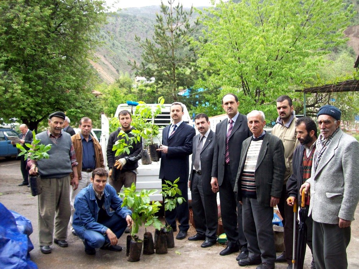 Aşılı Ceviz Fidanları Çiftçilere Dağıtıldı