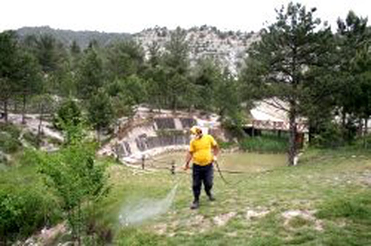 Karabük Belediyesinden Kene Mücadelesi