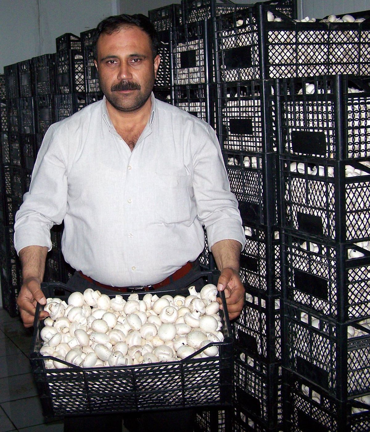 Mantar Tüccarları Eyleme Hazırlanıyor