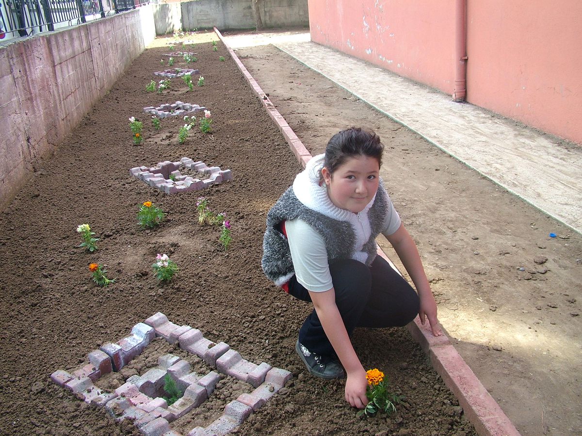 İlköğretim Öğrencilerinden Hatıra Ormanı