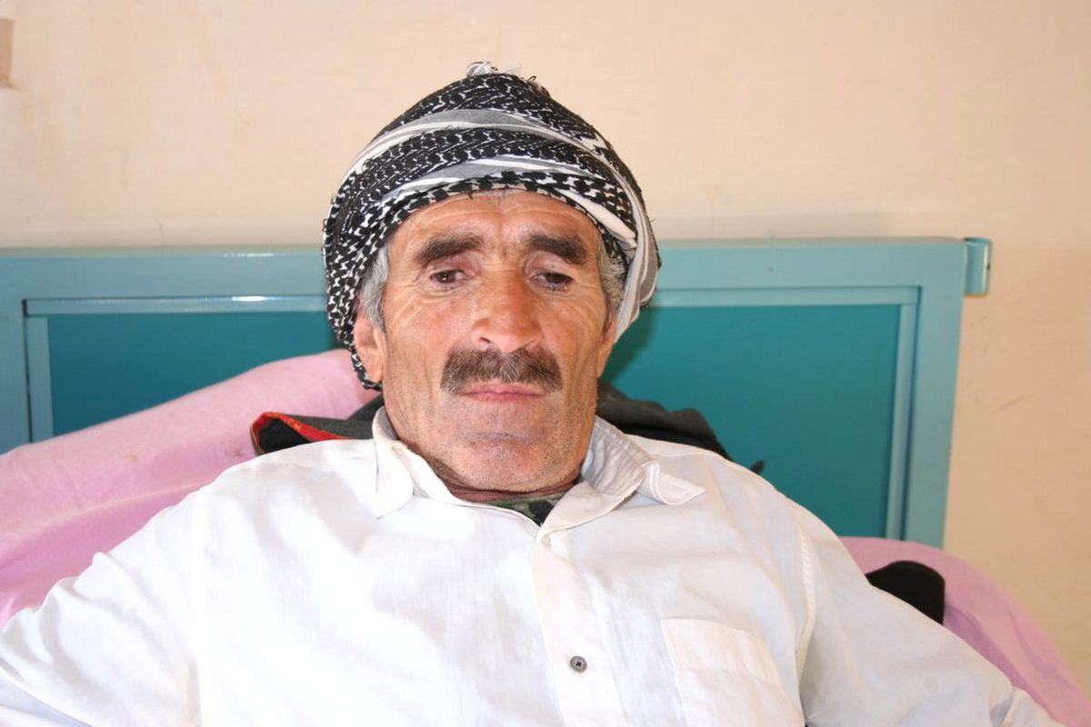 Sahibini Isıran Katır Öldü