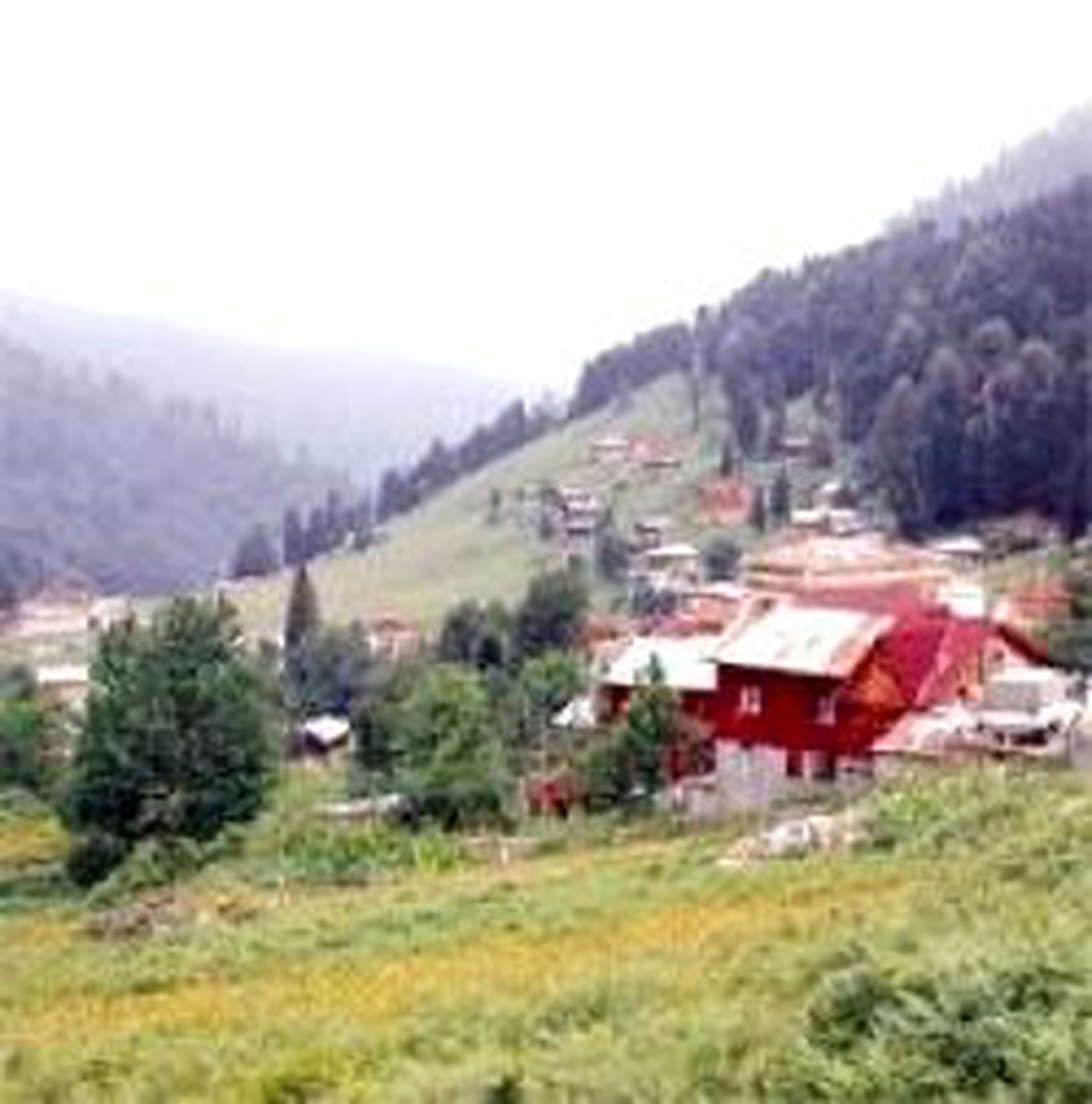 Ayder Yaylası 500 Bin Turisti Ağırlayacak